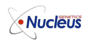 Nucleus